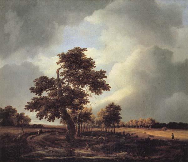 Jacob van Ruisdael Landscape with Shepherds and Peasants Norge oil painting art